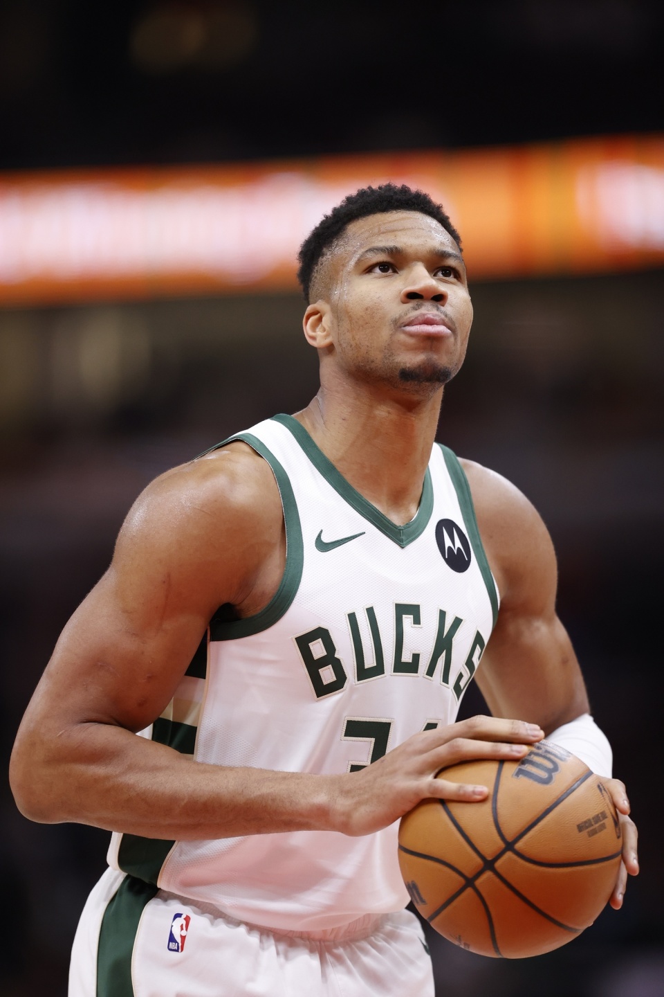 联赛的阵容 联赛的阵容